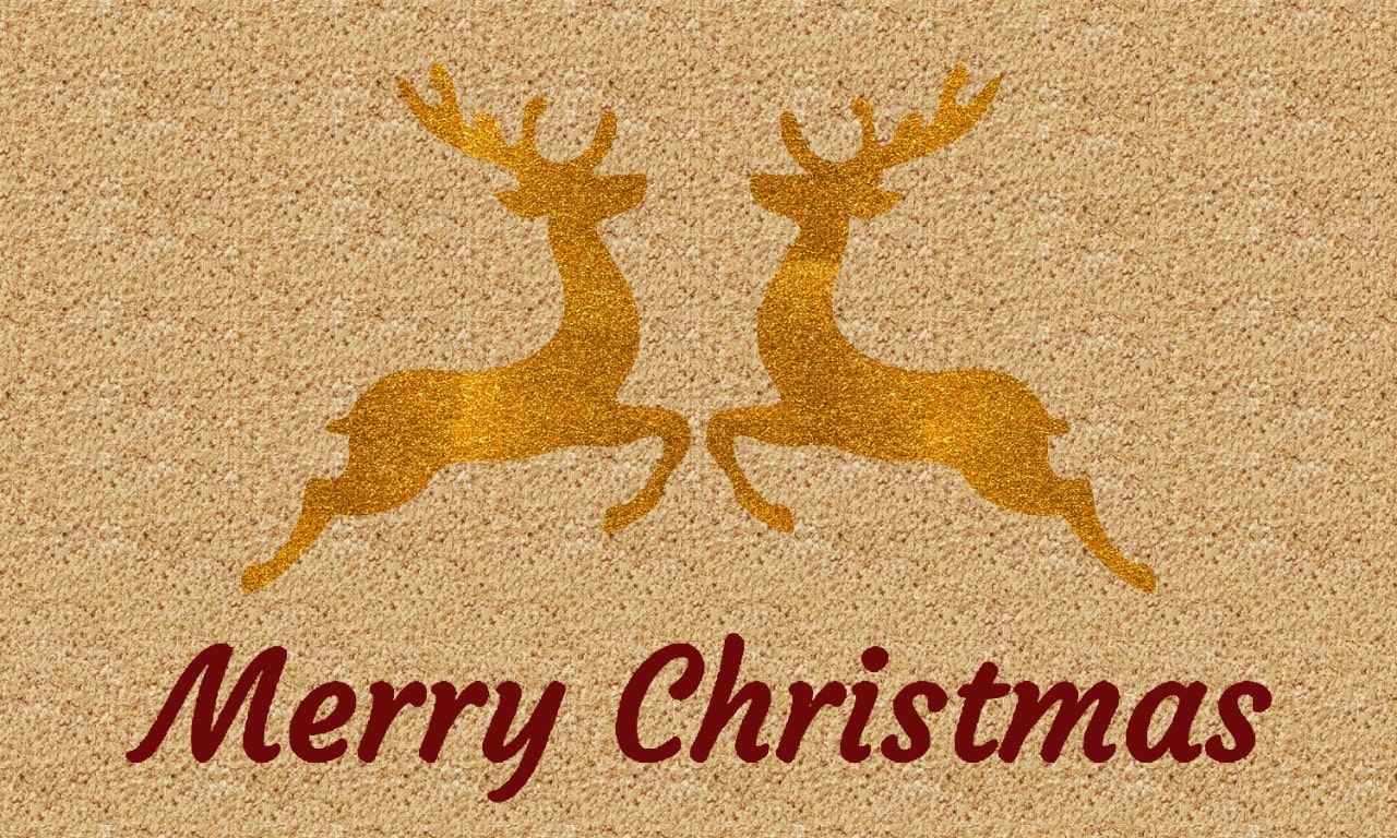 coir products manufacturers in kerala